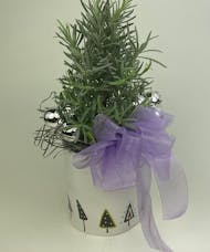 Lavender Topiary Tree