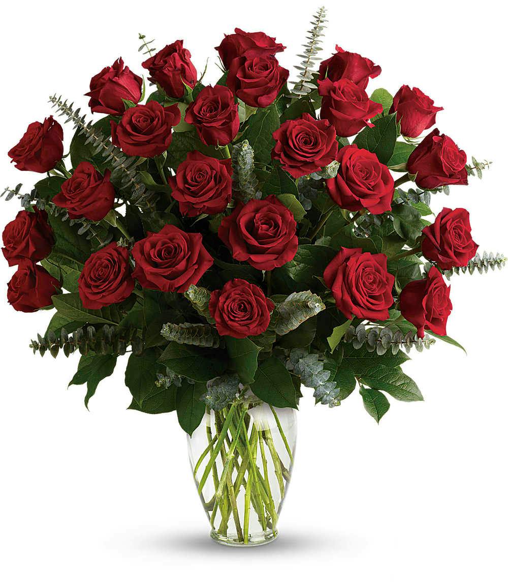 Two Dozen Long Stem Red Roses in a Vase | Wilmington NC ...