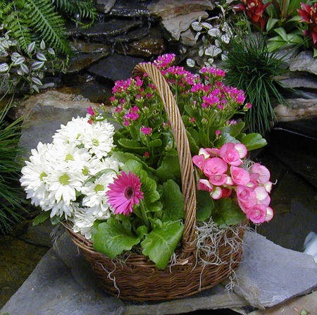 Wilmington NC Flower Delivery Blooming Garden Julia's Florist