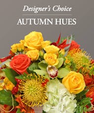 Autumn Hues - Designer's Choice