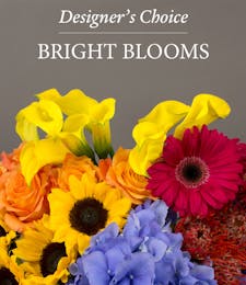Bright Blooms Designer's Choice
