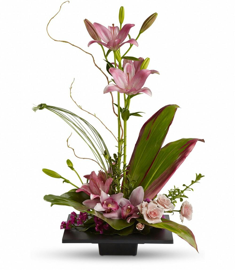 Imagination Blooms Exotic Flower Display | Julia's Florist