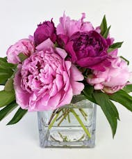 Mother's Day Peonies